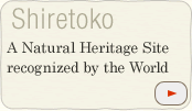 A Natural Heritage Site recognized by the World